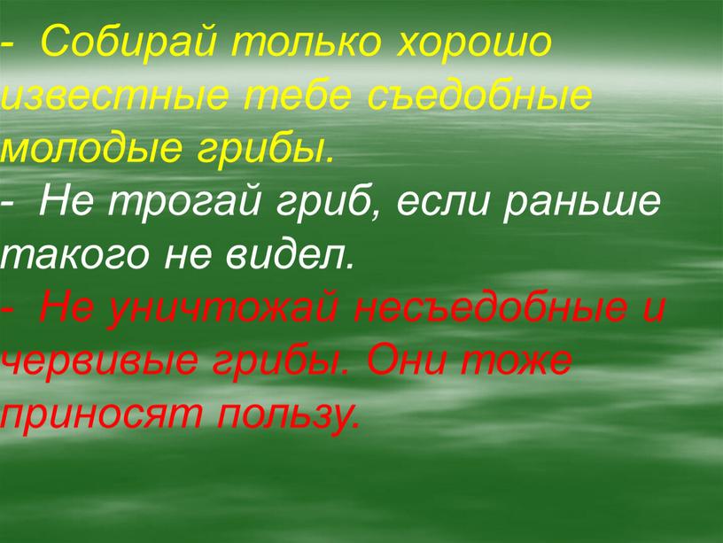 Собирай только хорошо известные тебе съедобные молодые грибы