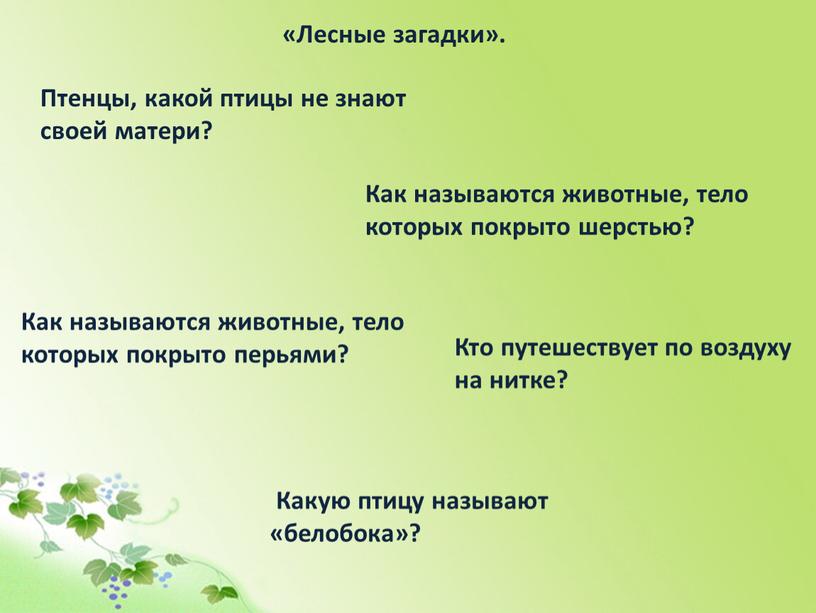 Птенцы, какой птицы не знают своей матери? «Лесные загадки»