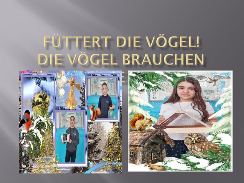 Füttert die Vögel! Die Vögel brauchen unsere