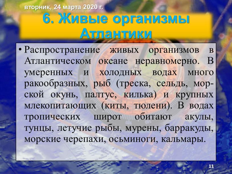 Живые организмы Атлантики Распространение живых организмов в