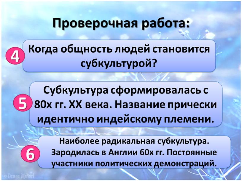 Проверочная работа: Когда общность людей становится субкультурой? 4