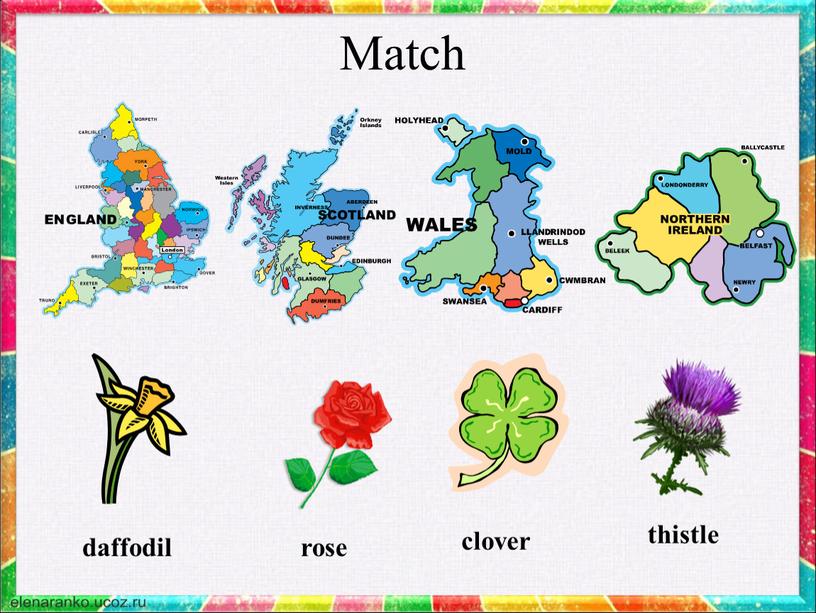 Match daffodil rose clover thistle