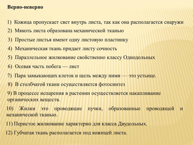 Верно-неверно 1) Кожица пропускает свет внутрь листа, так как она располагается снаружи 2)