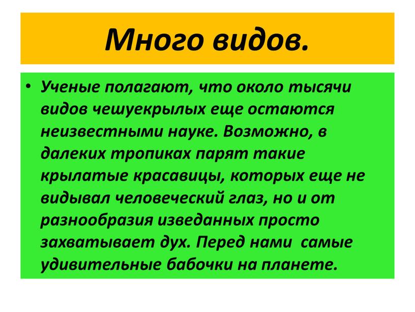 Много видов. Ученые полагают, что около тысячи видов чешуекрылых еще остаются неизвестными науке