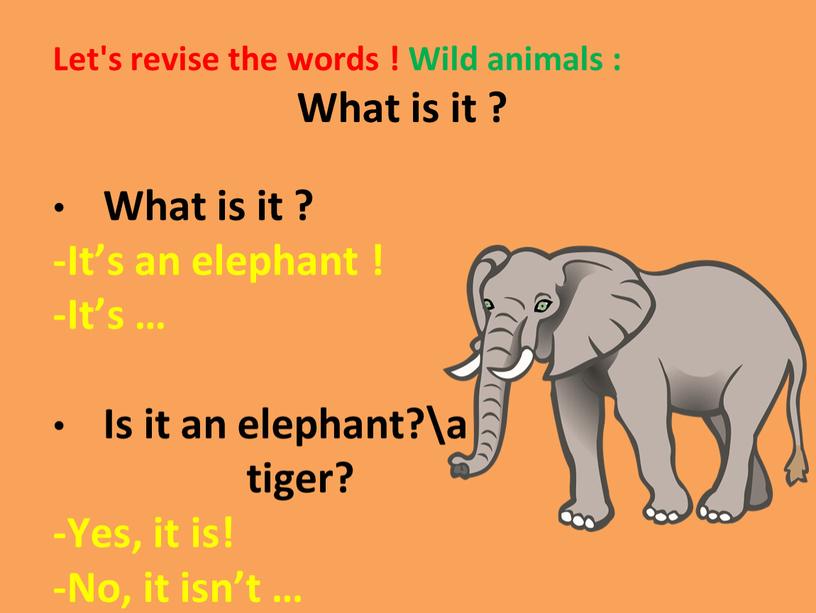 Let's revise the words ! Wild animals :