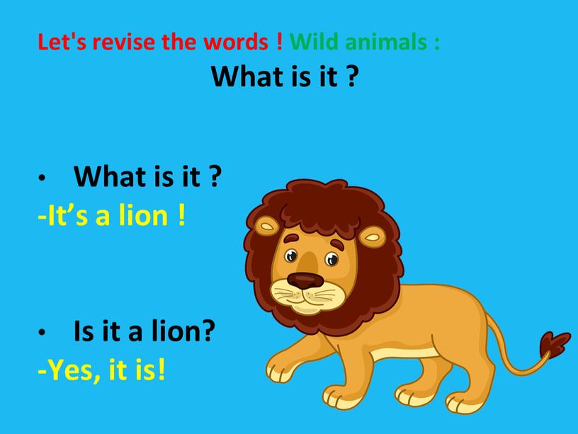 Let's revise the words ! Wild animals :