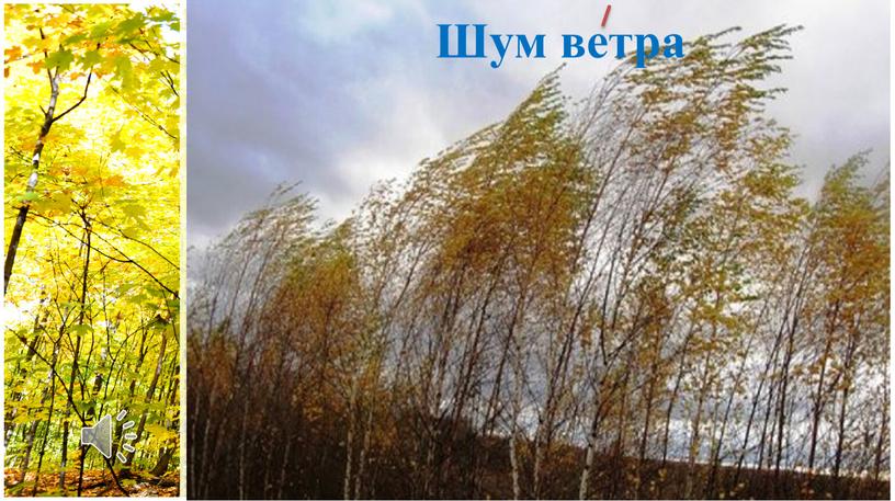 Шум ветра