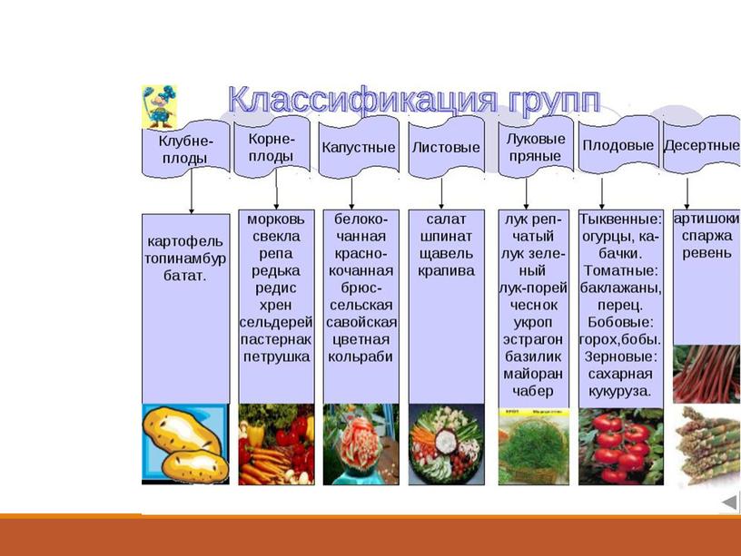 Презентация для урока производственного обучения "Первичная обработка  овощей"
