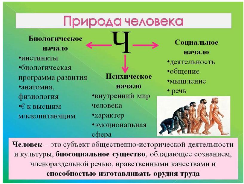 Урок повторения по курсу "Обществознания" 6 класс