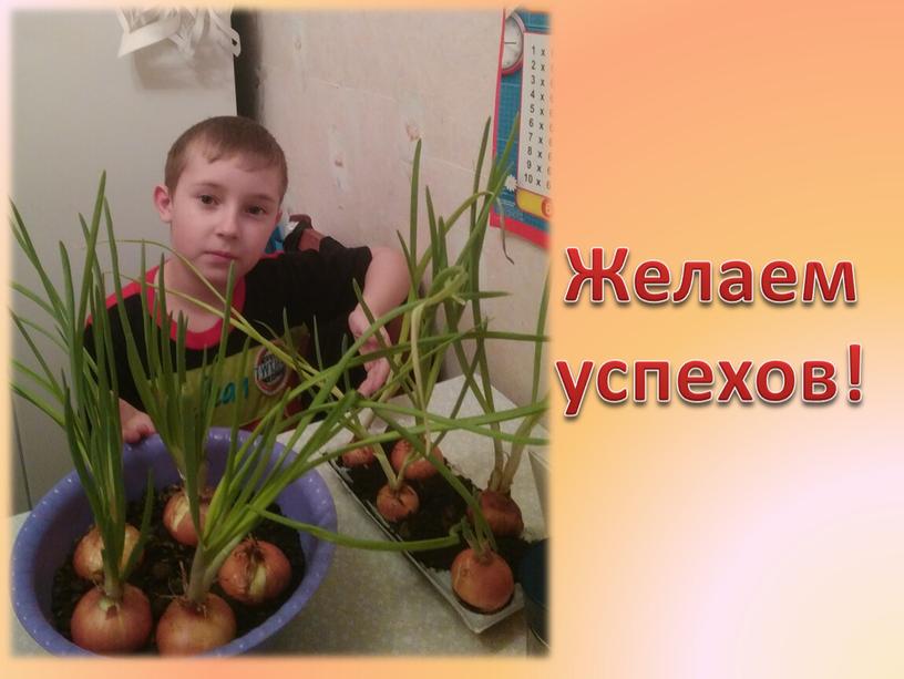 Желаем успехов!