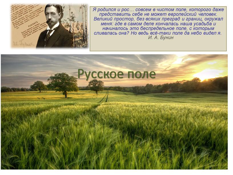 Русское поле Я родился и рос… совсем в чистом поле, которого даже представить себе не может европейский человек