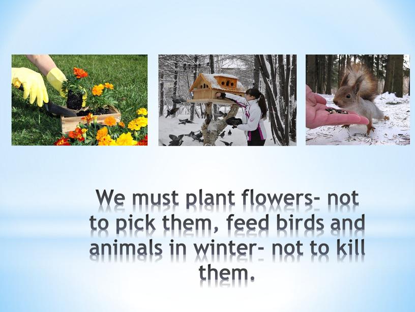 We must plant flowers- not to pick them, feed birds and animals in winter- not to kill them