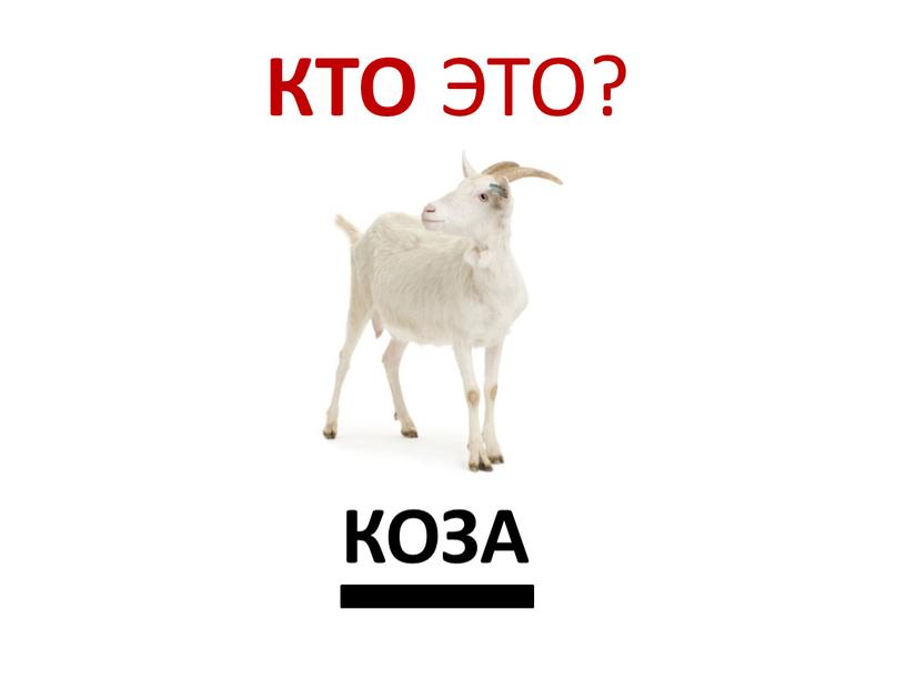 КТО ЭТО? КОЗА