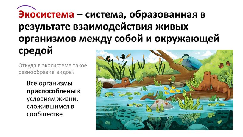 Экосистема – система, образованная в результате взаимодействия живых организмов между собой и окружающей средой