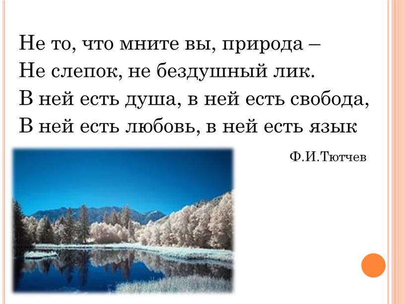 Не то, что мните вы, природа –