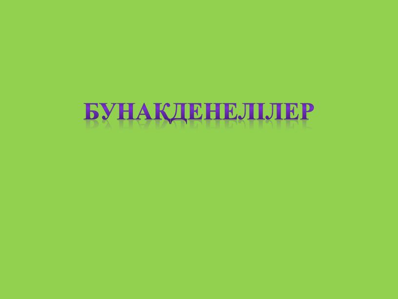 Бунақденелілер