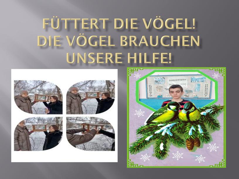 Füttert die Vögel! Die Vögel brauchen unsere