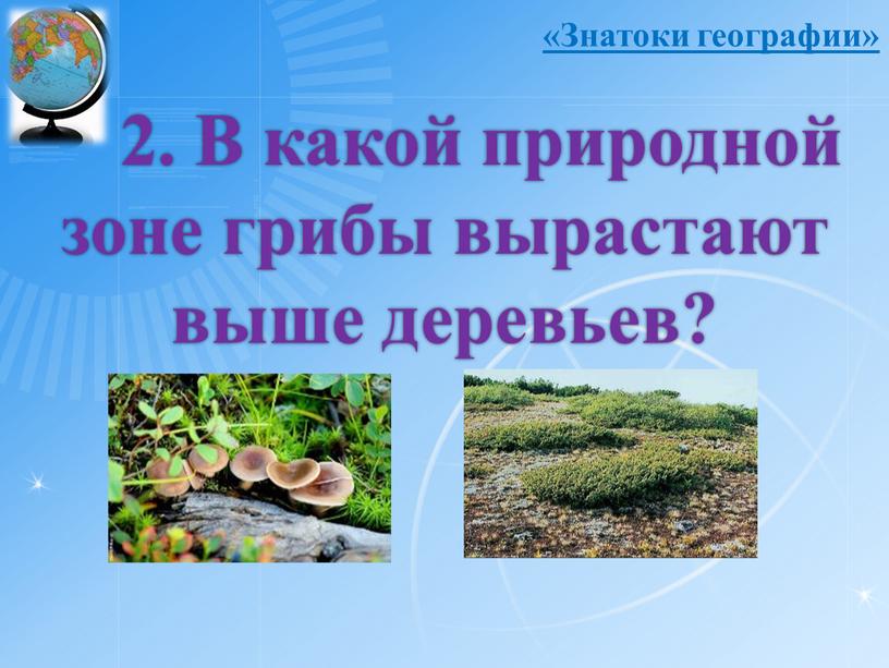 В какой природной зоне грибы вырастают выше деревьев? «Знатоки географии»