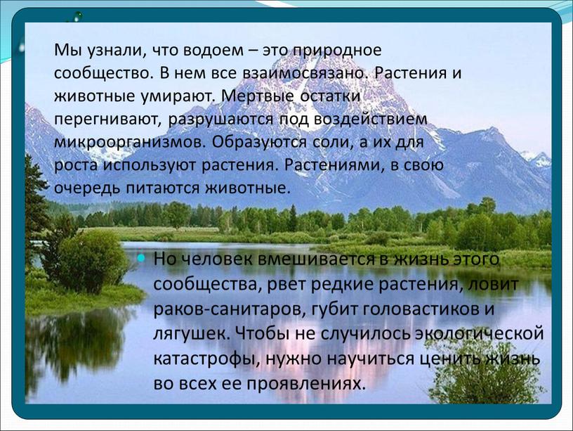 Мы узнали, что водоем – это природное сообщество