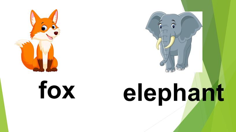 fox elephant