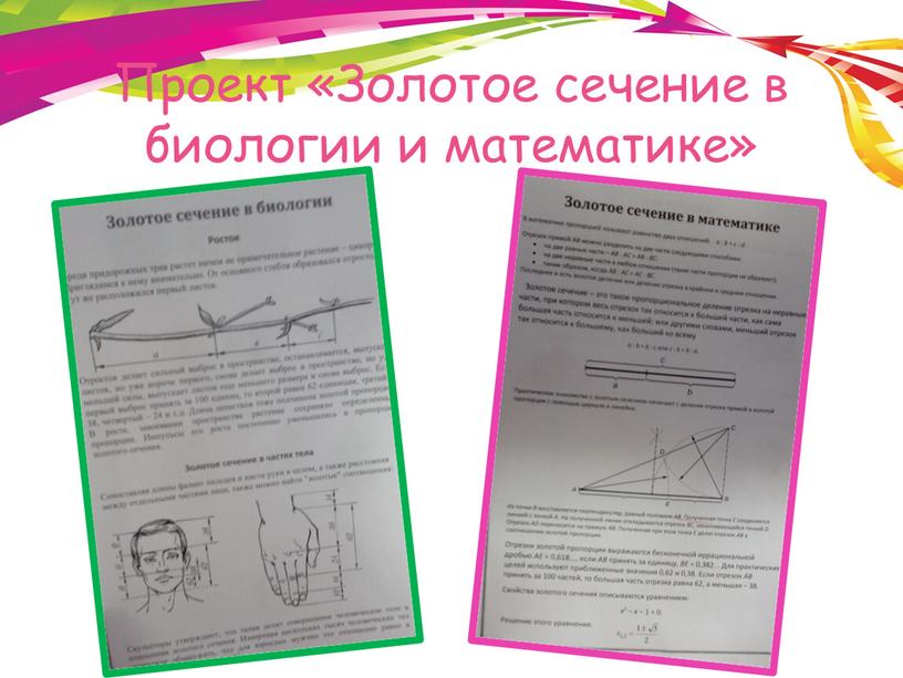 Проект «Золотое сечение в биологии и математике»