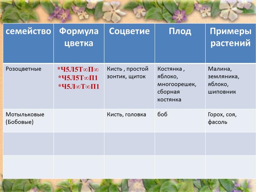 Формула цветка Соцветие Плод Примеры растений