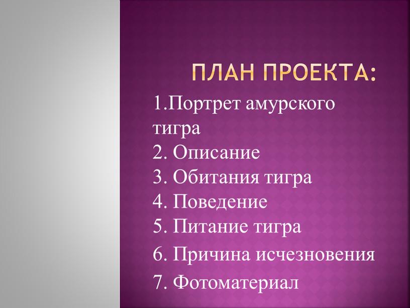 План проекта: 1.Портрет амурского тигра 2