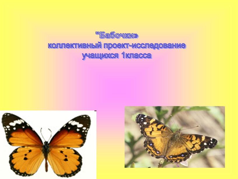 Бабочки» коллективный проект-исследование учащихся 1класса