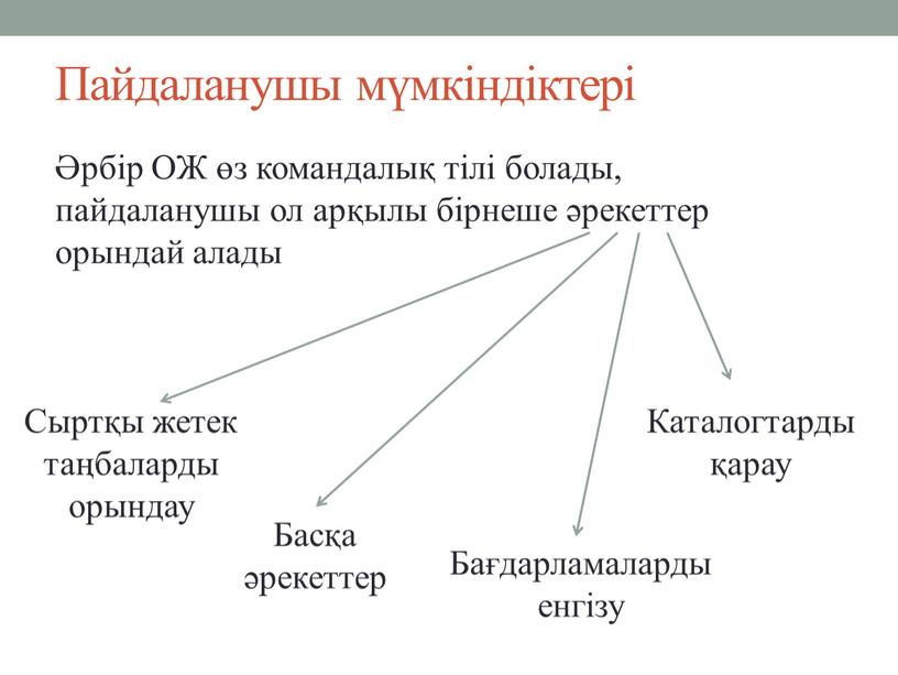 Пайдаланушы мүмкіндіктері Әрбір