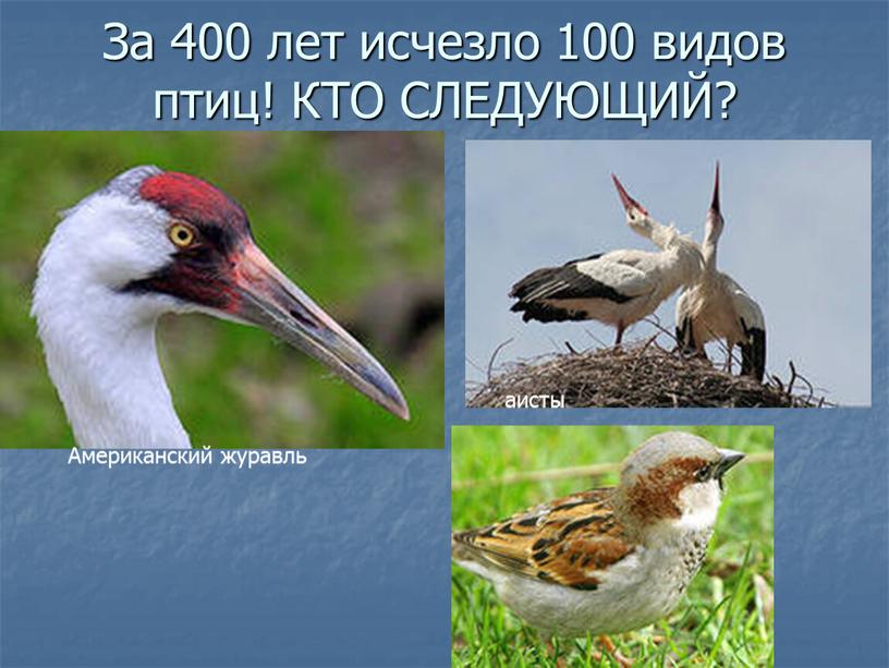 За 400 лет исчезло 100 видов птиц!