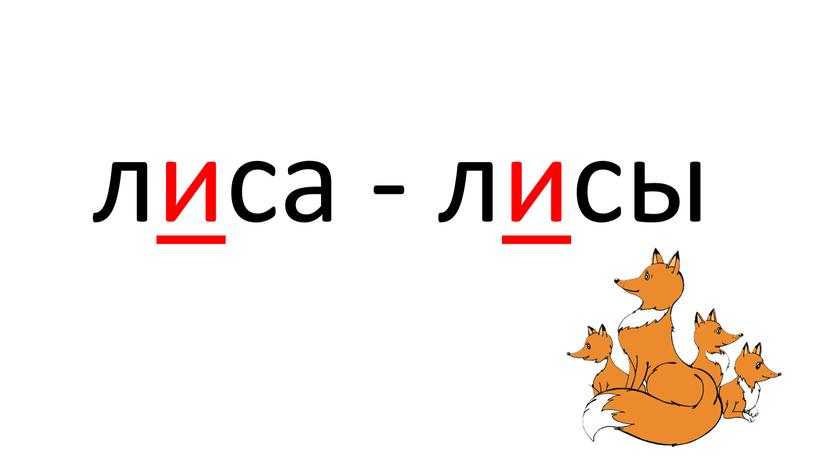 лиса - лисы