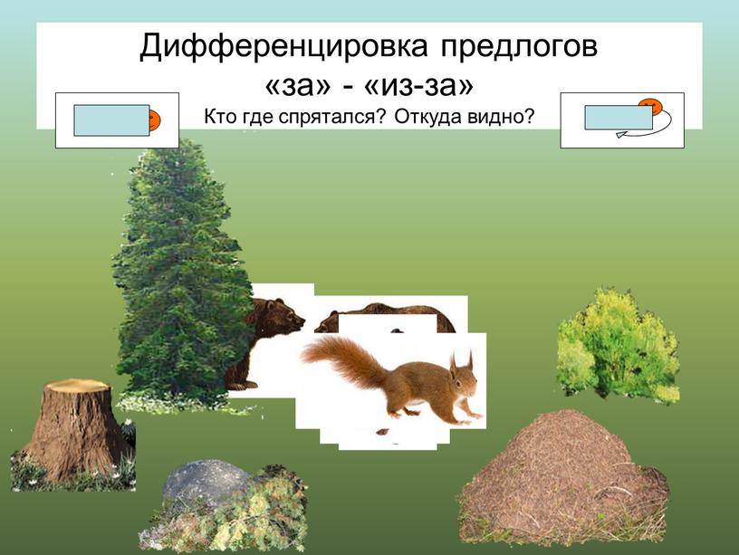 Дифференцировка предлогов «за» - «из-за»