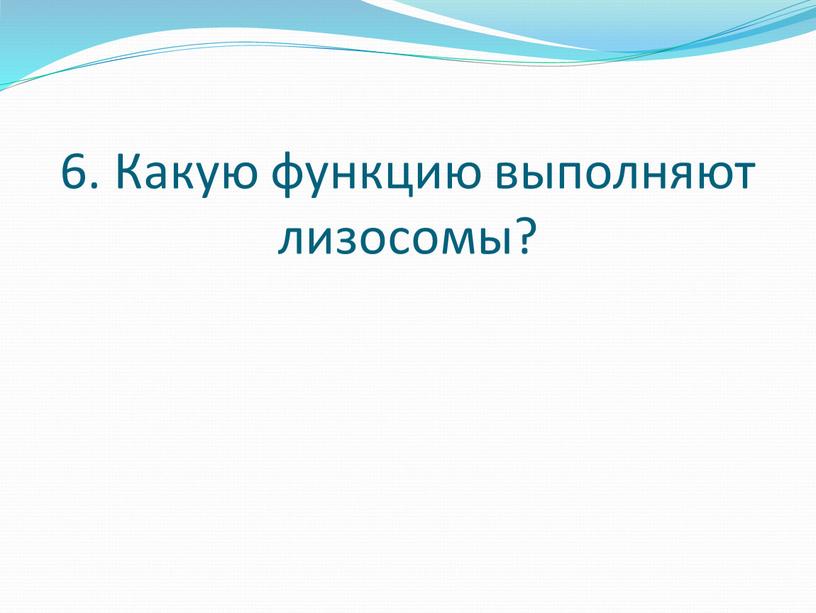 Какую функцию выполняют лизосомы?