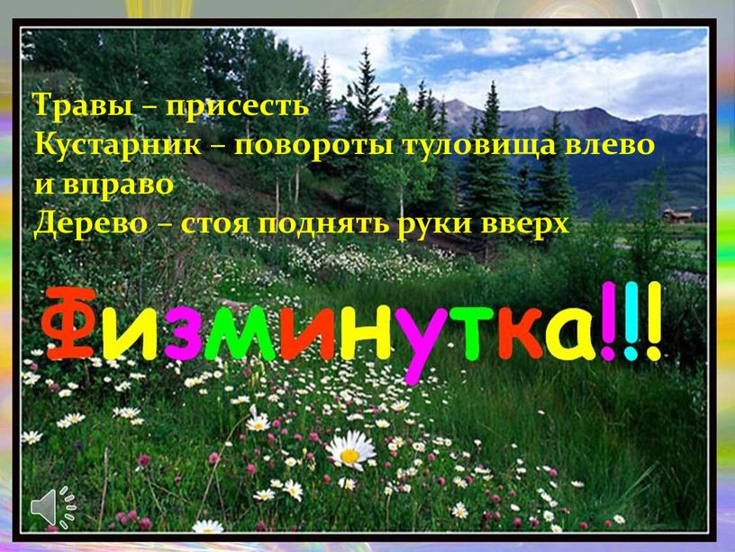 Травы – присесть Кустарник – повороты туловища влево и вправо