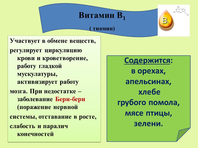 Участвует в обмене веществ, регулирует циркуляцию крови и кроветворение, работу гладкой мускулатуры, активизирует работу мозга