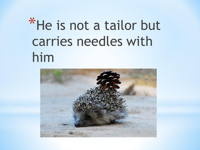 He is not a tailor but carries needles with him