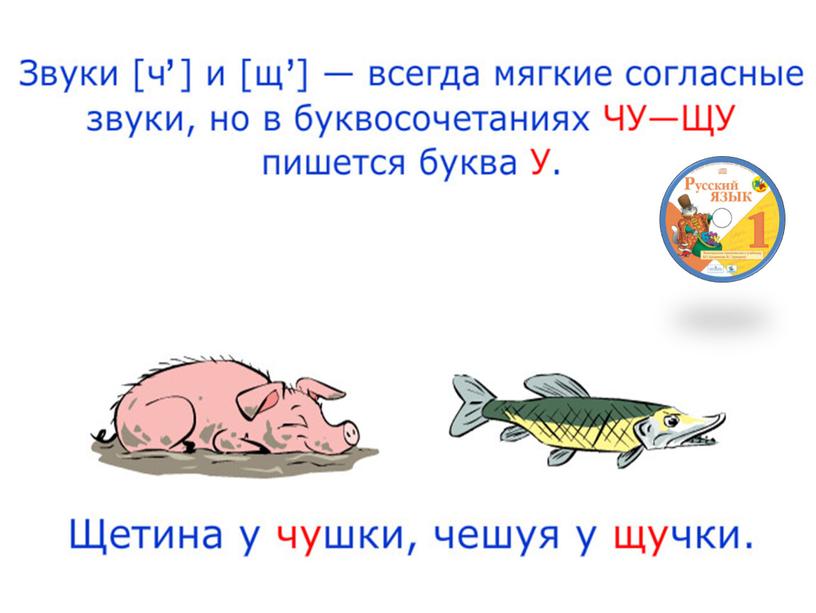 Урок русского языка по теме"Буквосочетания жи-ши, ча-ща, чу-щу" 1 класс (презентация)