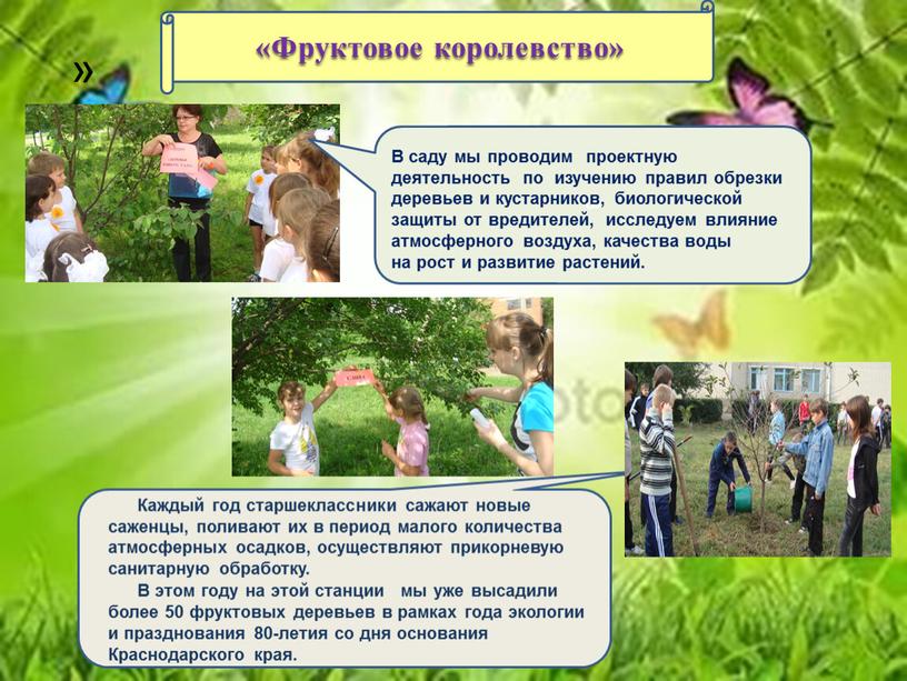 Фруктовое королевство» В