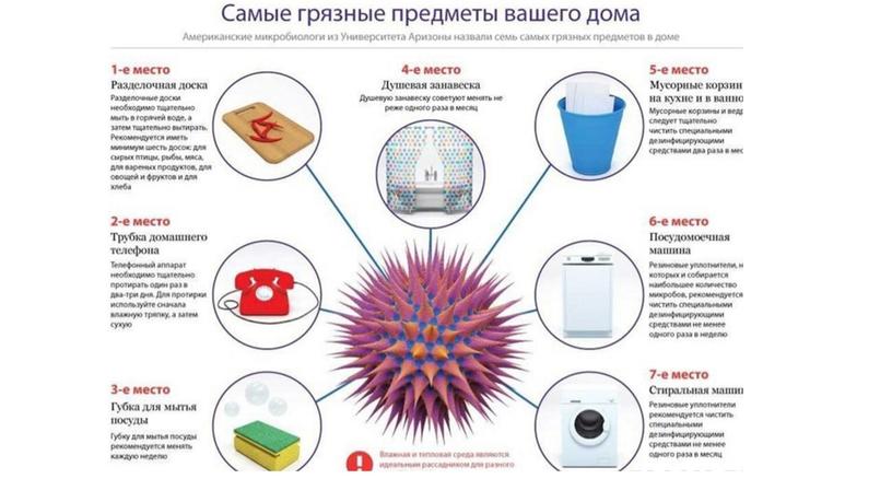 Презентация на тему "Бактерии"