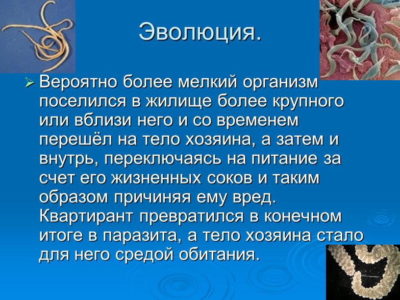 Эволюция. Вероятно более мелкий организм поселился в жилище более крупного или вблизи него и со временем перешёл на тело хозяина, а затем и внутрь, переключаясь…