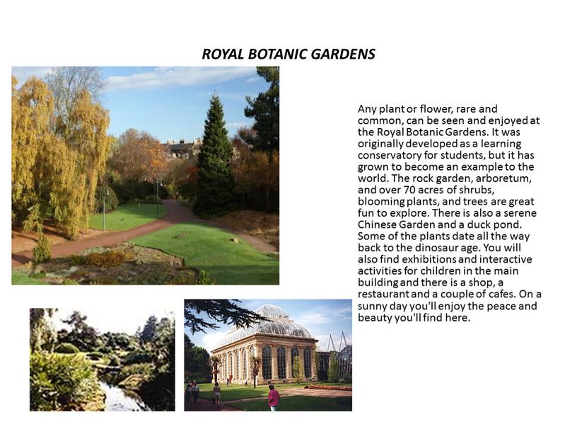ROYAL BOTANIC GARDENS Any plant or flower, rare and common, can be seen and enjoyed at the