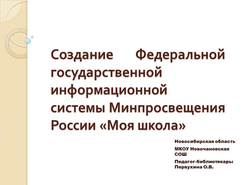 Создание Федеральной государственной информационной системы