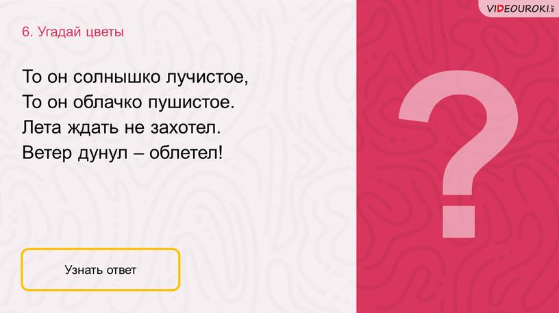 Угадай цветы Узнать ответ То он солнышко лучистое,