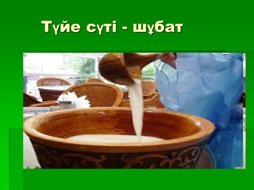 Түйе сүті - шұбат