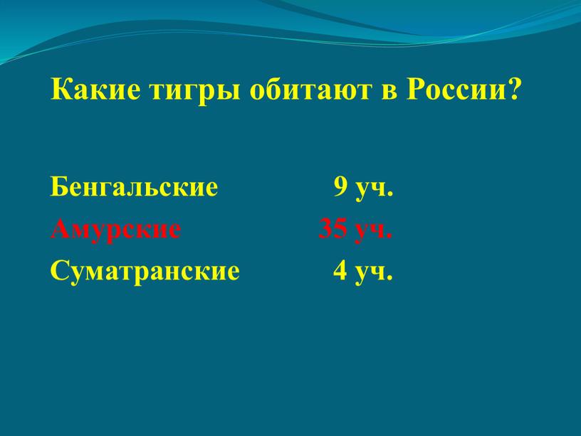 Какие тигры обитают в России?