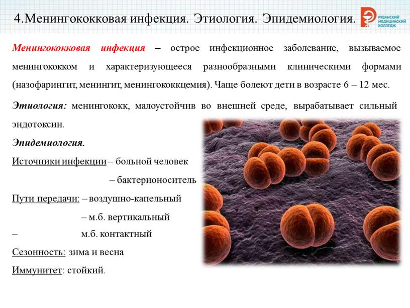 Менингококковая инфекция. Этиология