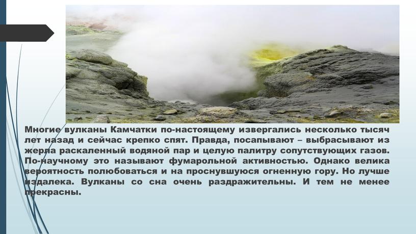 Многие вулканы Камчатки по-настоящему извергались несколько тысяч лет назад и сейчас крепко спят