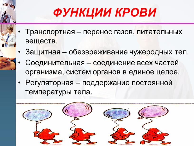 ФУНКЦИИ КРОВИ Транспортная – перенос газов, питательных веществ