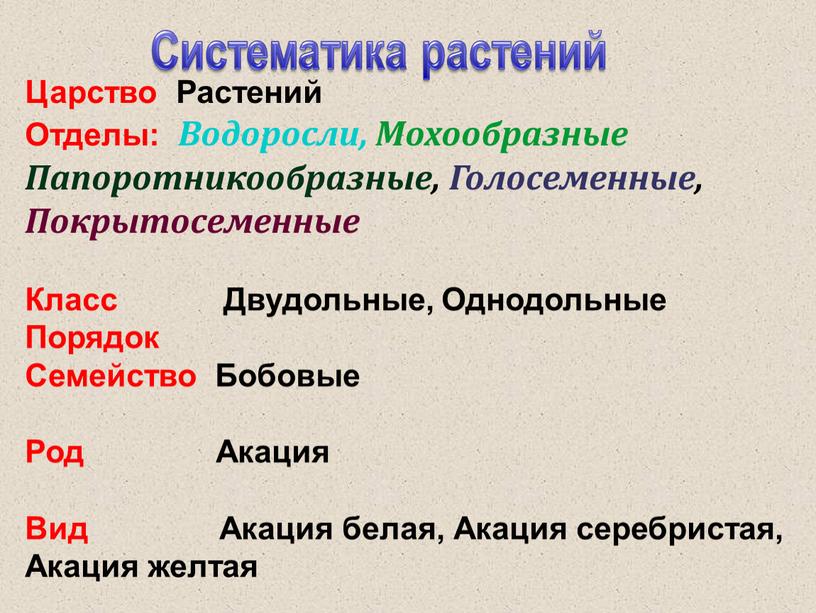 Систематические отделы растений