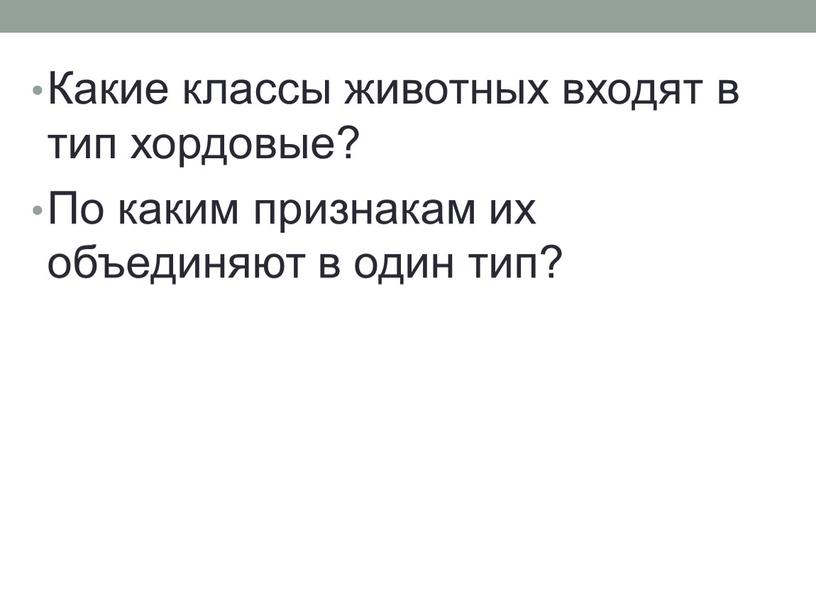 Какие классы животных входят в тип хордовые?